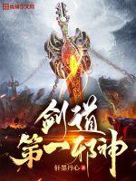 天龙殿主全集观看